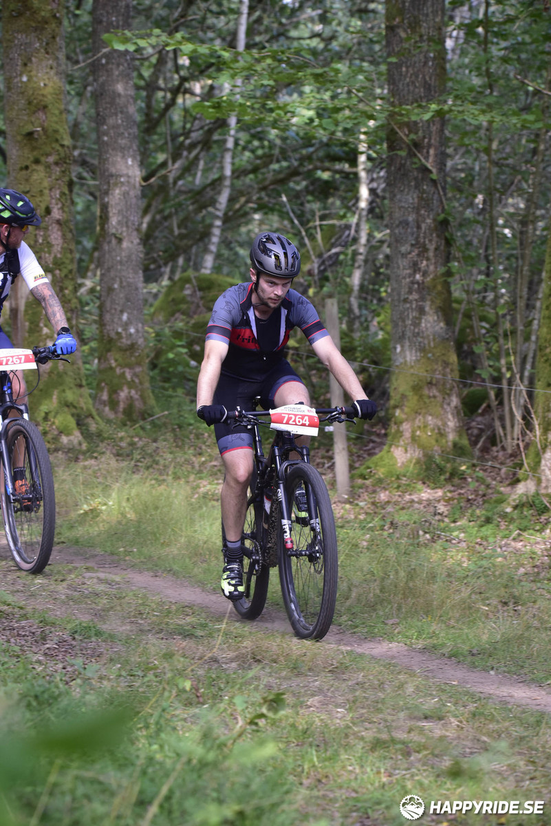 Bild från Bockstensturen 2019